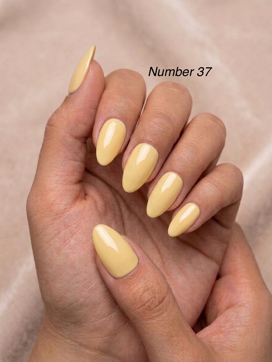 Pressé Signature Shades - Image 38